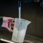 Best Gluten-Free Flours for Soft Bread